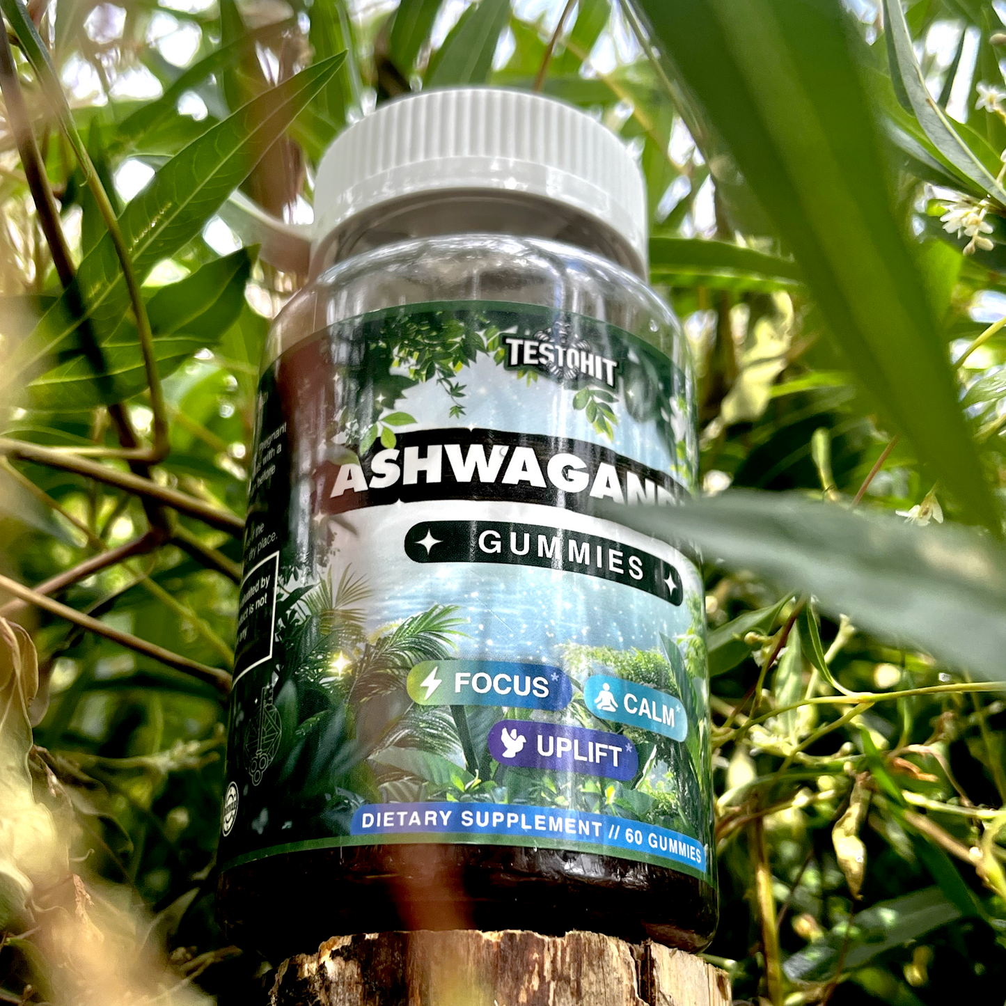 Ašvaganda – Ashwagandha – streso kontrolei, ramiai kasdienai, dėmesiui, darbui